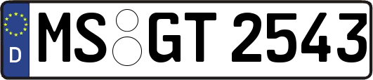 MS-GT2543