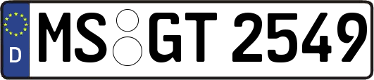 MS-GT2549