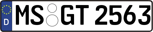 MS-GT2563