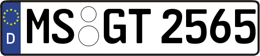 MS-GT2565