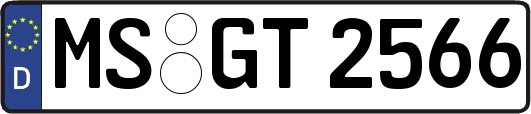 MS-GT2566