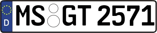MS-GT2571