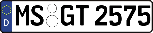 MS-GT2575