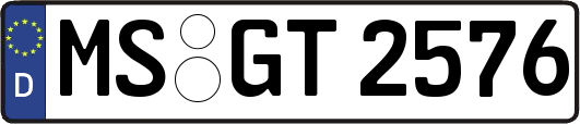 MS-GT2576