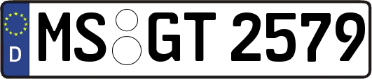 MS-GT2579