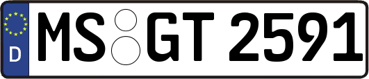 MS-GT2591