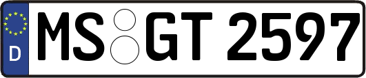 MS-GT2597