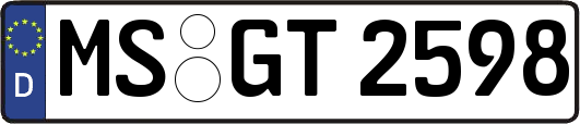 MS-GT2598