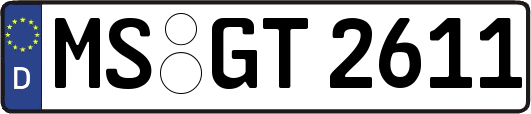 MS-GT2611