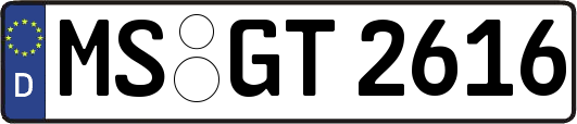 MS-GT2616