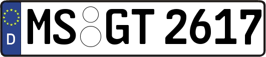 MS-GT2617