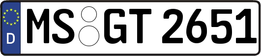 MS-GT2651