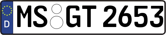 MS-GT2653