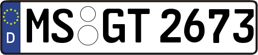 MS-GT2673
