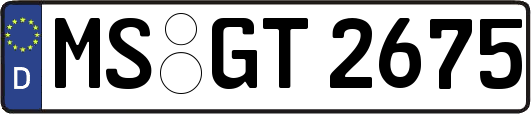 MS-GT2675