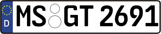 MS-GT2691