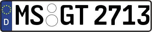 MS-GT2713