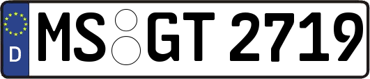 MS-GT2719