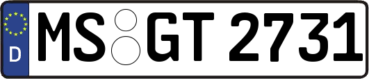 MS-GT2731