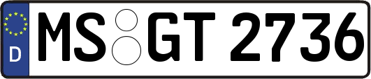 MS-GT2736