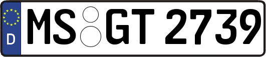 MS-GT2739