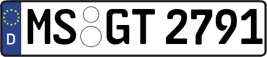 MS-GT2791