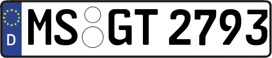 MS-GT2793