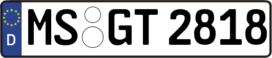 MS-GT2818