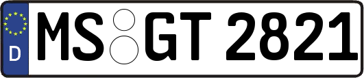 MS-GT2821