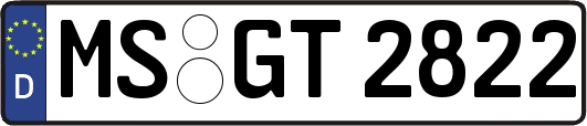MS-GT2822
