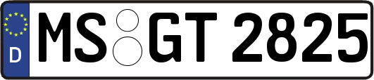 MS-GT2825