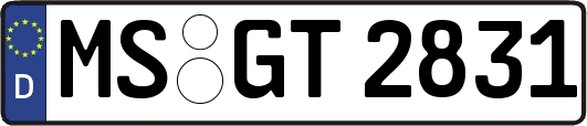 MS-GT2831