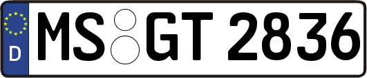 MS-GT2836