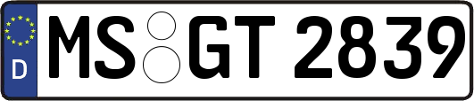 MS-GT2839