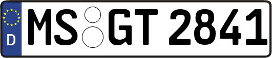 MS-GT2841
