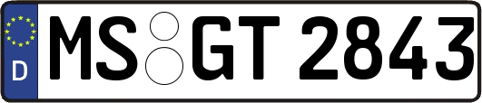 MS-GT2843