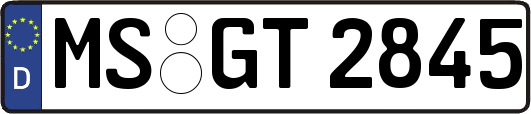 MS-GT2845