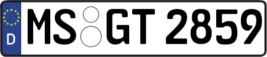 MS-GT2859