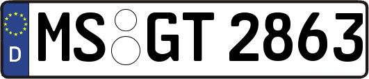 MS-GT2863