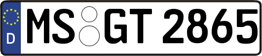 MS-GT2865