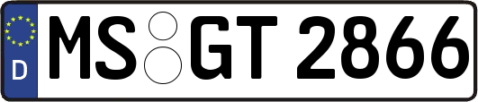 MS-GT2866