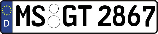 MS-GT2867