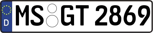 MS-GT2869