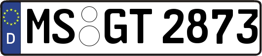 MS-GT2873