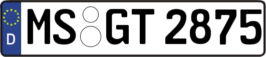 MS-GT2875