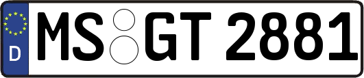 MS-GT2881