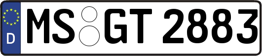 MS-GT2883