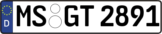 MS-GT2891