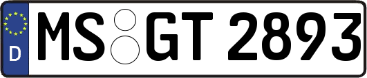 MS-GT2893