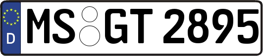 MS-GT2895